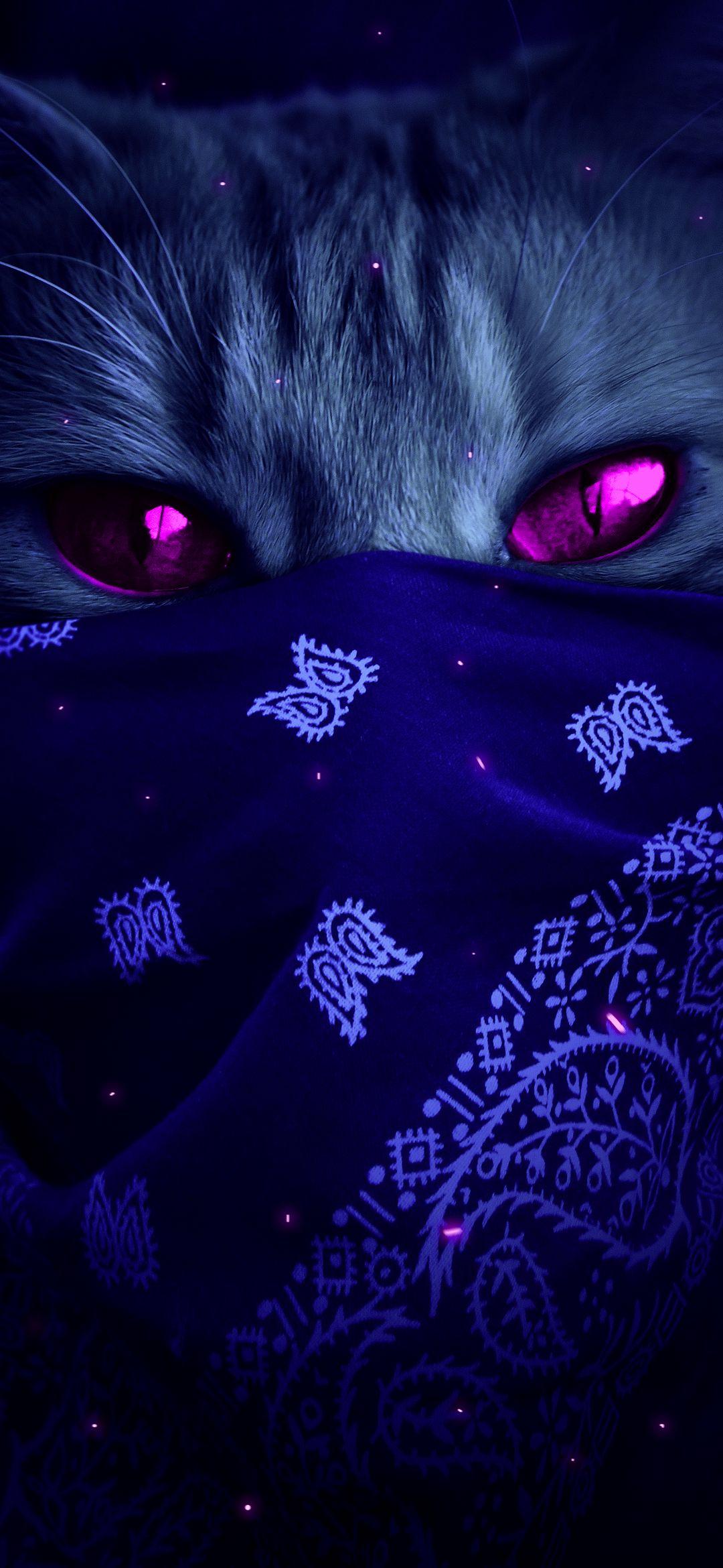 img1.wallspic.com-cat-purple-carnivore-violet-magenta-1080x2340.jpg